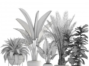 collection of plants 3D Модель