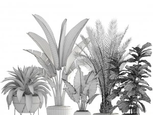 collection of plants 3D Model