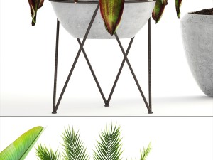 collection of plants 3D Модель
