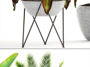 collection of plants 3D Model