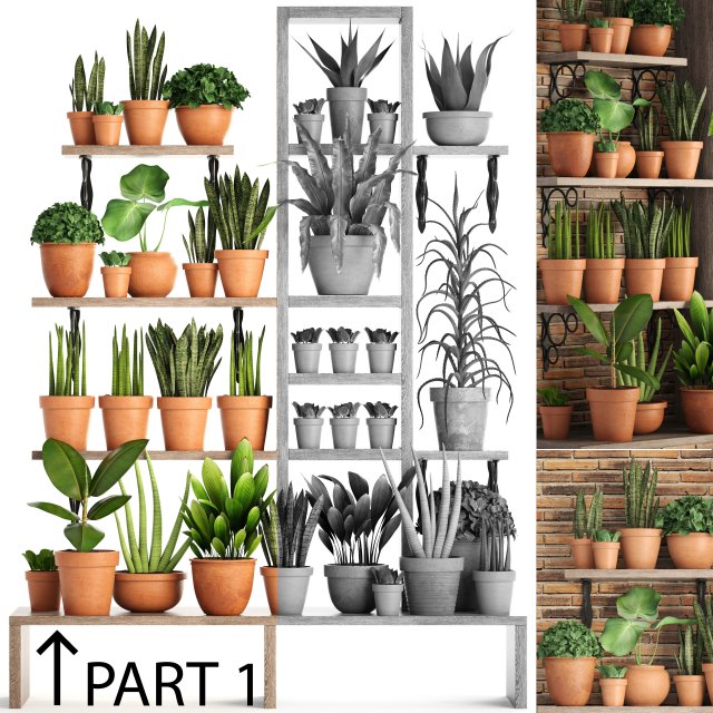 collection of plants part 1 3Dモデル .c4d .max .obj .3ds .fbx .stl .blend 