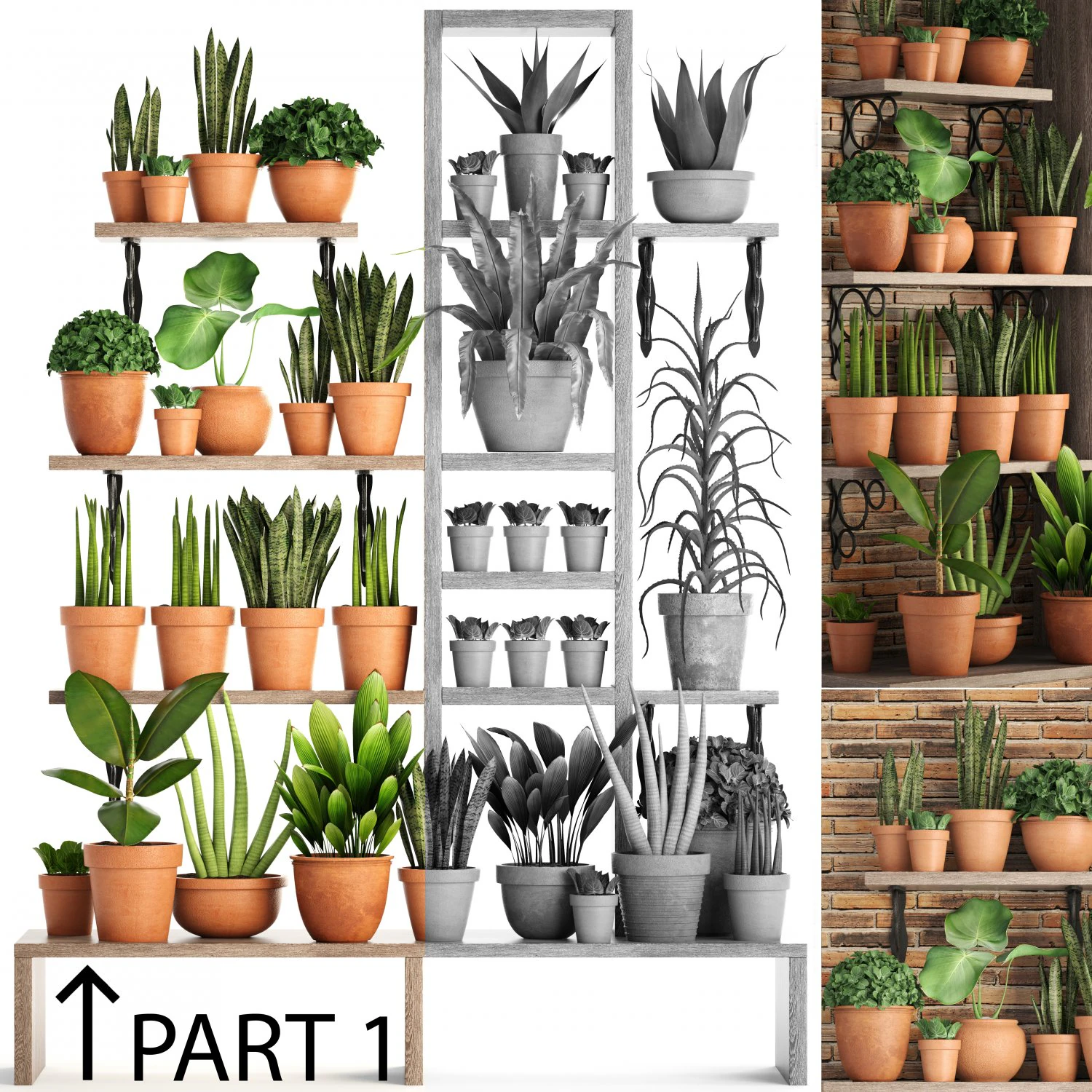collection of plants part 1 3D Model .c4d .max .obj .3ds .fbx .stl .blend 