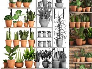 colecci&oacute;n de plantas parte 1 Modelo 3D