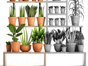 collection of plants part 1 3D Model