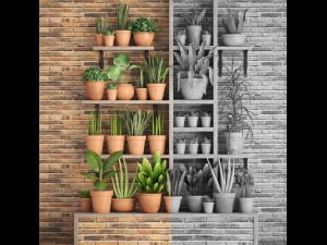 collection of plants part 1 3Dモデル