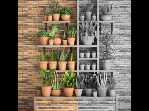 collection of plants part 1 3D Model