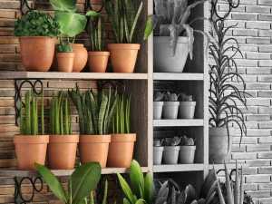 collection of plants part 1 3D Model