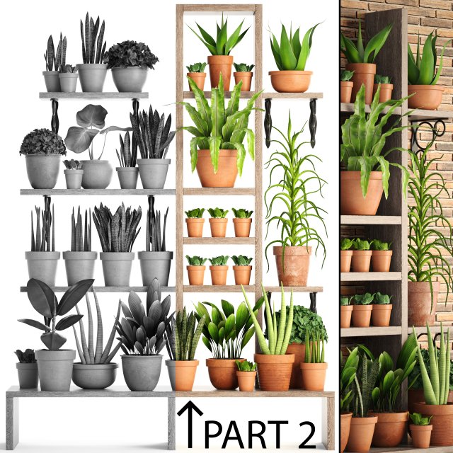 collection of plants part 2 Model 3D .c4d .max .obj .3ds .fbx .stl .blend 