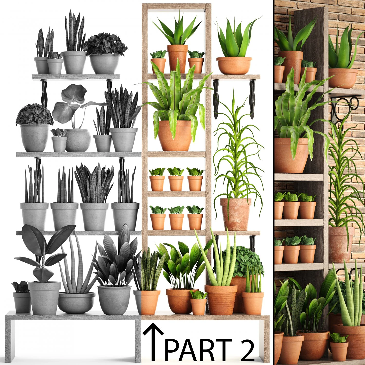 collection of plants part 2 3D Model .c4d .max .obj .3ds .fbx .stl .blend 