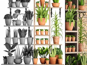 collection of plants part 2 3Dモデル