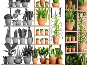 коллекция растений часть 2 3D Модель