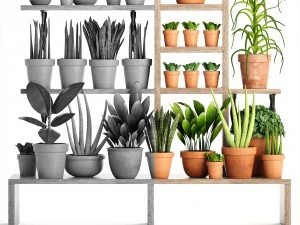 collection of plants part 2 3D Model
