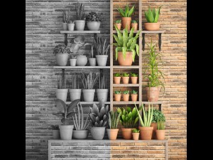collection of plants part 2 Model 3D