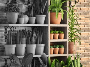 collection of plants part 2 3D Model