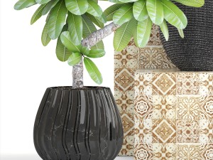 collection of plants frangipani 3D Model