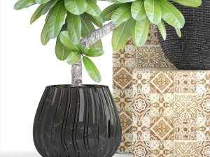 collection of plants frangipani 3D Model