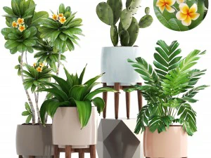 colecci&oacute;n de plantas Modelo 3D