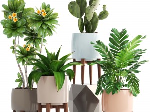 collection of plants 3D 모델