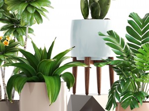 collection of plants 3D 모델