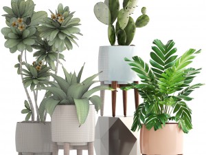 collection of plants 3D 모델