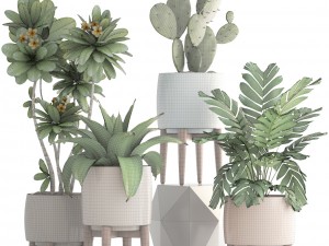 collection of plants 3D 모델