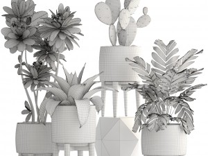 collection of plants 3D 모델