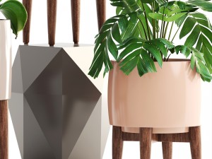collection of plants 3D 모델