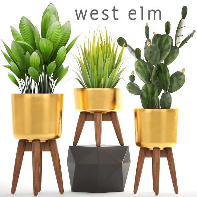 collection of plants 3D Model .c4d .max .obj .3ds .fbx .stl .blend 