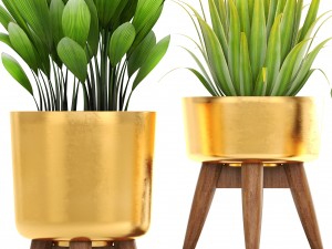 collection of plants 3D Model