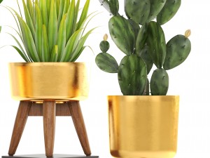 collection of plants 3D Model