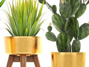 collection of plants 3D Model