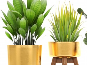 collection of plants 3D Model