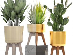 collection of plants 3D Model