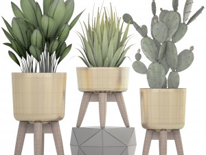 collection of plants 3D Model