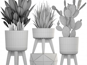 collection of plants 3D Model