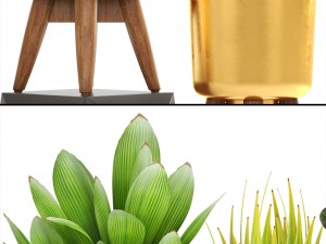 collection of plants 3D Model