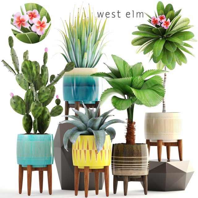 collection of plants 3Dモデル .c4d .max .obj .3ds .fbx .stl .blend 