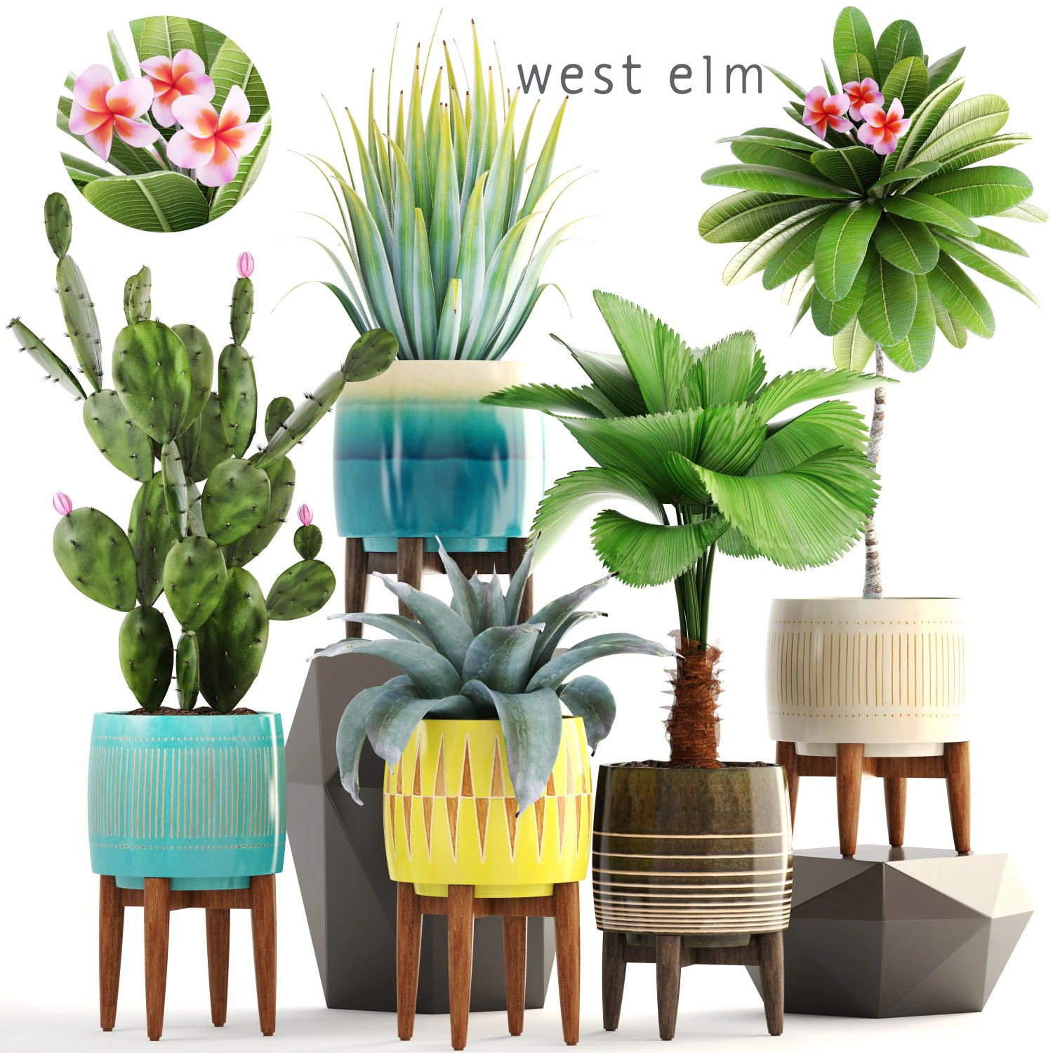 collection of plants 3D Model .c4d .max .obj .3ds .fbx .stl .blend
