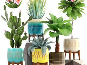 collection of plants 3D Model