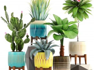 collection of plants 3D Model