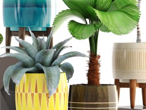 collection of plants 3Dモデル