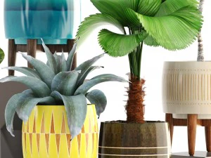 collection of plants 3D Model