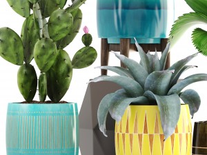 collection of plants 3Dモデル