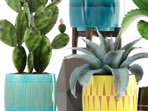 collection of plants 3D Model