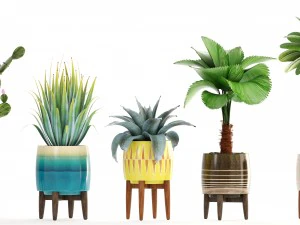 collection of plants 3D Model