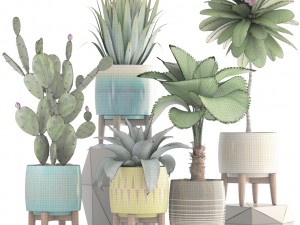 collection of plants 3Dモデル