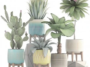 collection of plants 3D Model