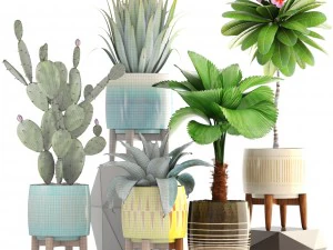 collection of plants 3D Model