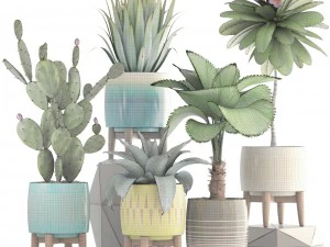 collection of plants 3D Model