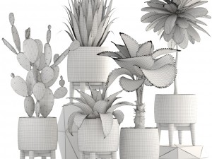 collection of plants 3Dモデル